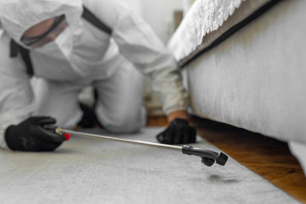 Professional Bed Bug Control technician working in White Pigeon, MI