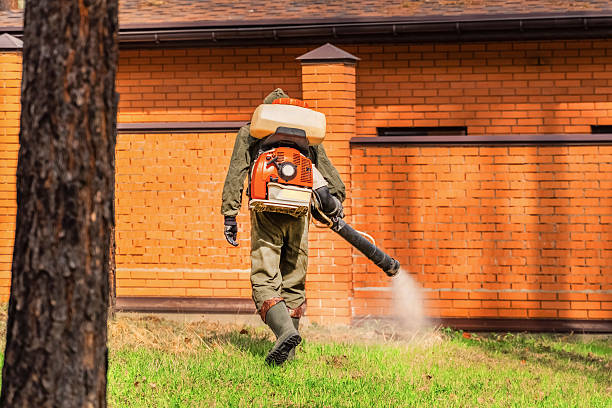 Trusted Cockroach Control service in White Pigeon, MI - Nex Pest Control